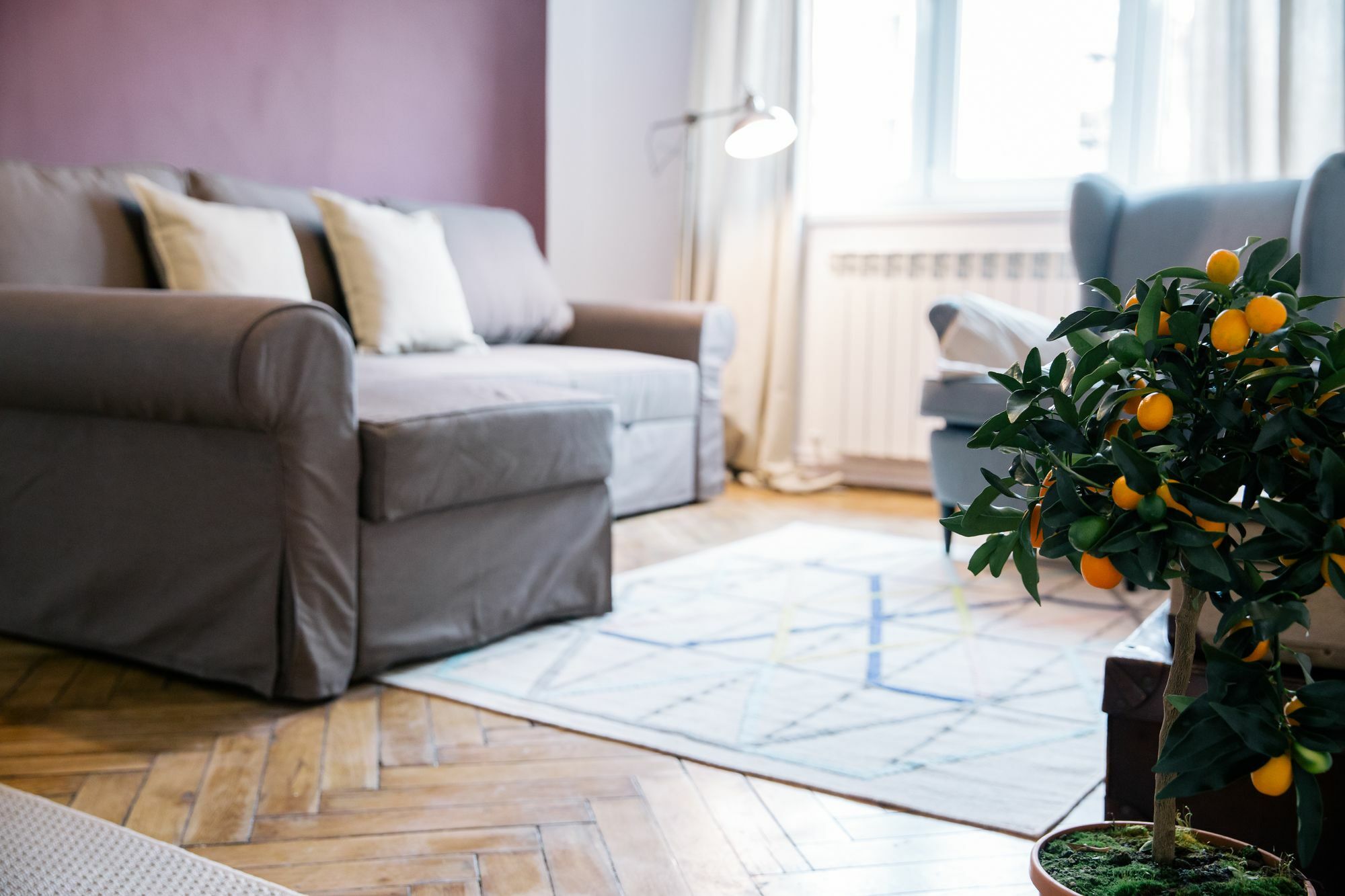 Neo Apartment Horea Клуж-Напока Экстерьер фото